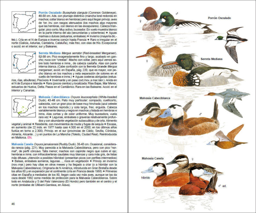 Página de muestra de Aves de España